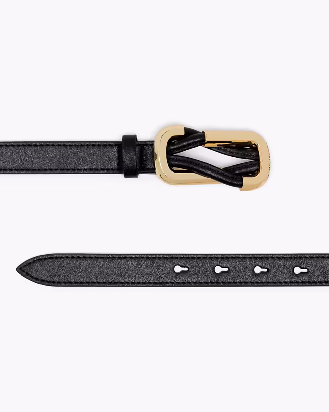 The Dual Belt - image 3