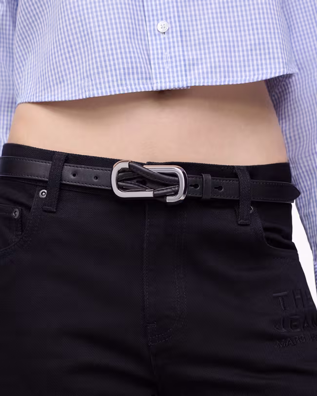 The Dual Belt - image 2
