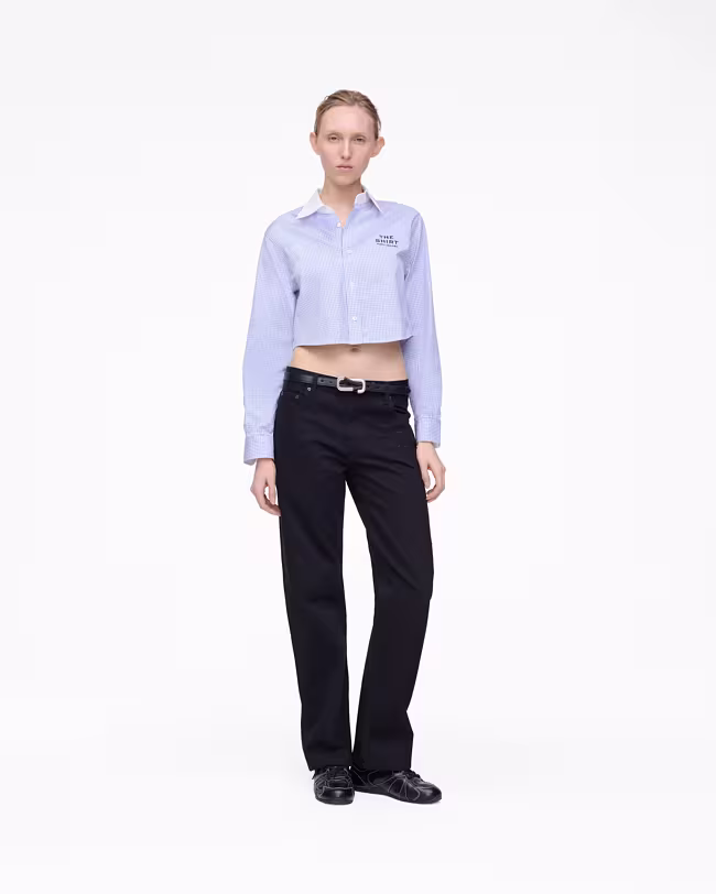 The Dual Belt - image 4