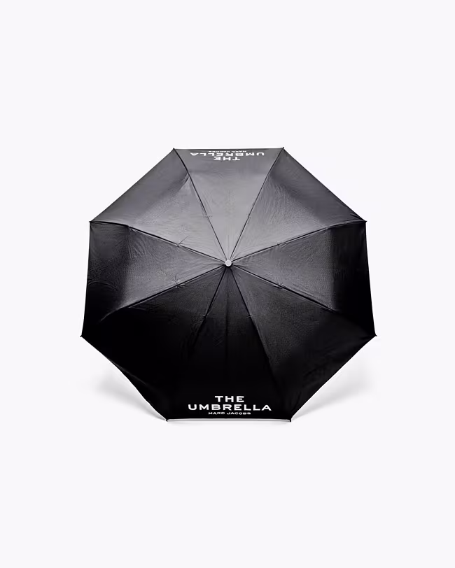 The Umbrella - image 2